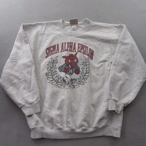 Hanes | Shirts | Sigma Alpha Epsilon Sae Sweatshirt Vintage Size L Gray U  Of Arkansas | Poshmark